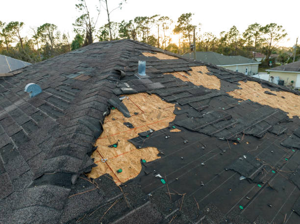 Susitna North, AK Roofing Services Company